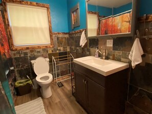 Combined shower/bathtub, hair dryer, towels, soap - Run away to the mountains of WV! Peaceful country home is waiting for you!   (Springfield)