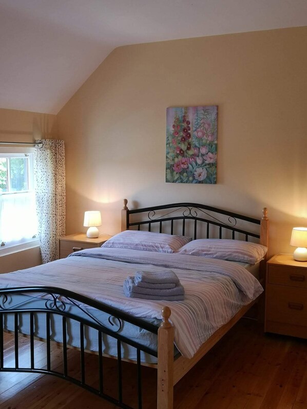 Iron/ironing board, free WiFi, bed sheets - Nelly's Bed & Bike (Westport)