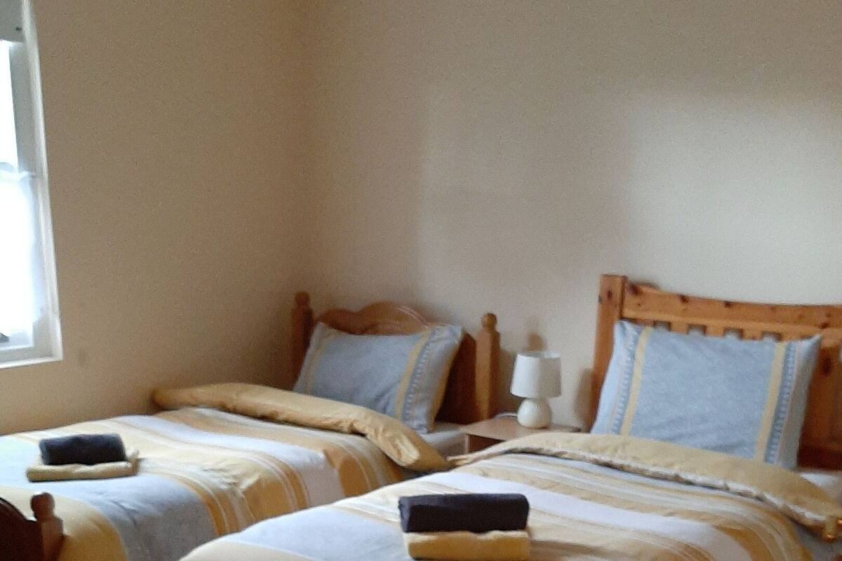 Habitación básica con 2 camas individuales (3) | Tabla de planchar con plancha, wifi gratis, ropa de cama