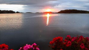 Lake - Nelly's Bed & Bike (Westport)