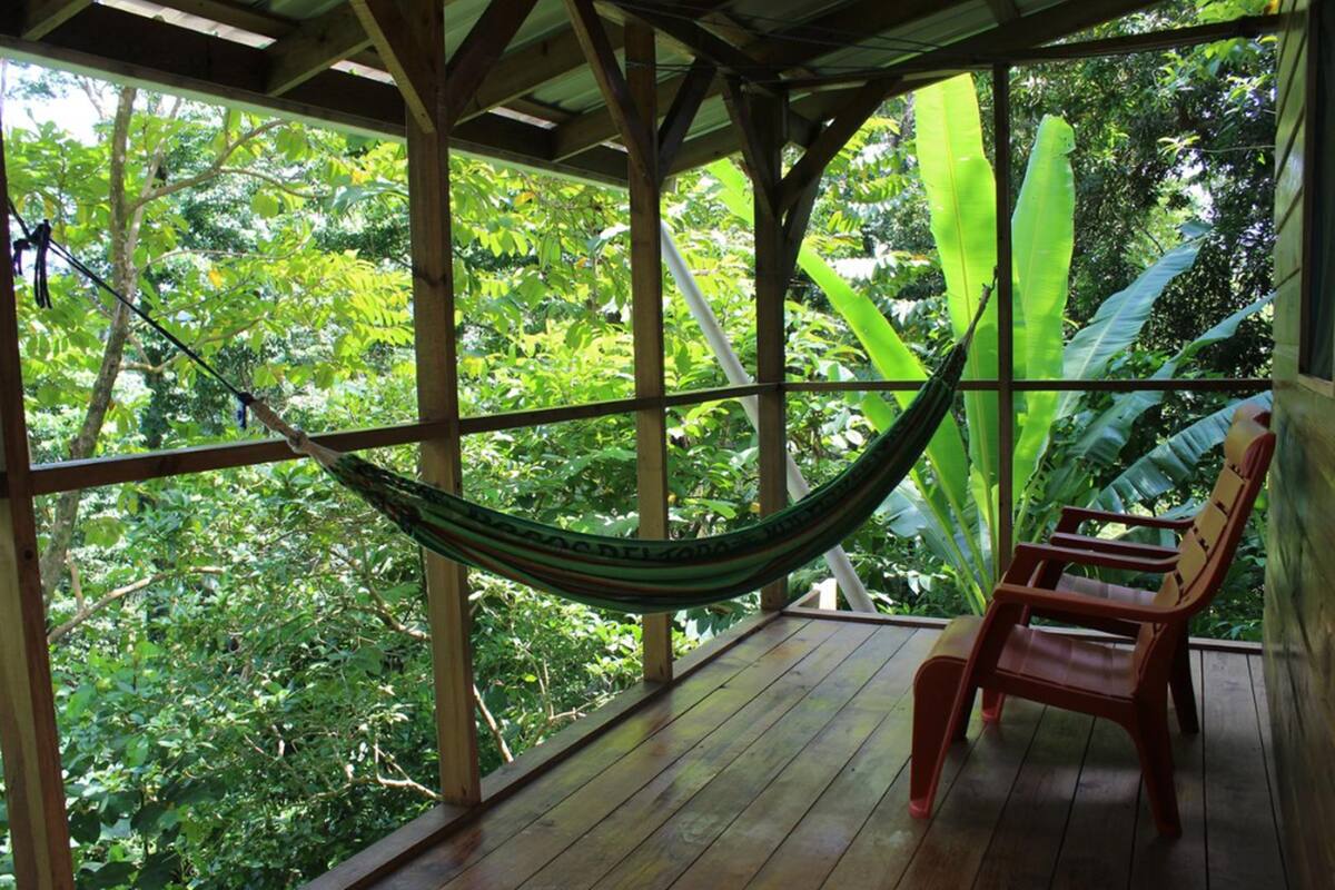 Cabin, Multiple Beds, Ocean View (Jungle Cabin) | Terrace/patio
