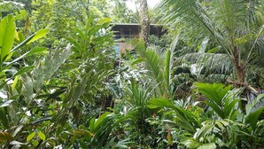 Jardín