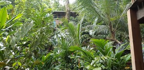 Garden - Carmen's Place (Bastimentos)