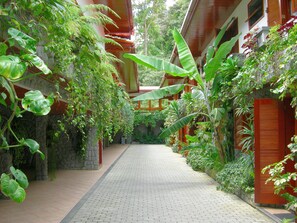 Courtyard - Hotel Akaskay (Nova Friburgo)