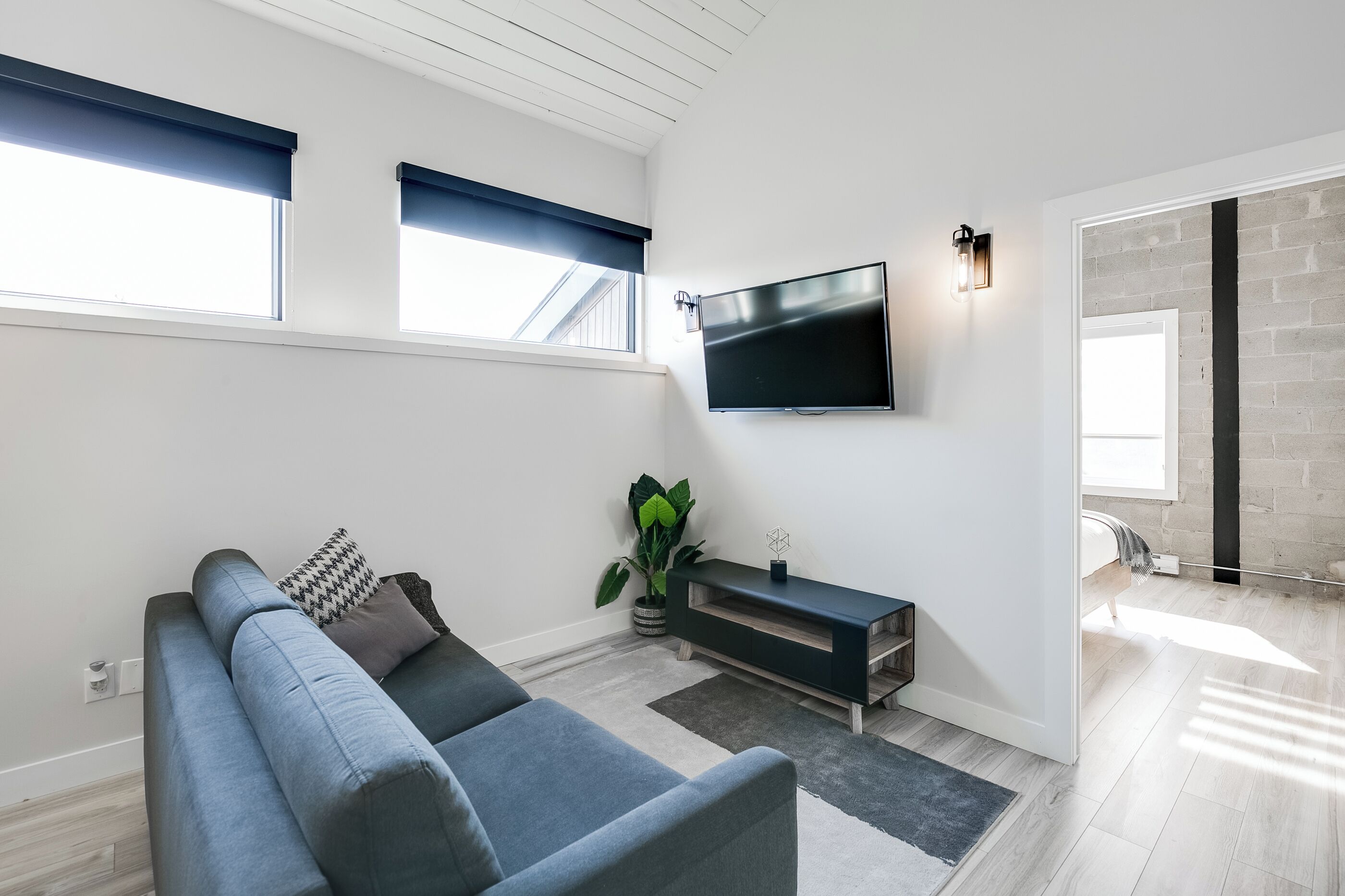 A modern living room with a grey sofa, a flat-screen TV, and a potted plant.