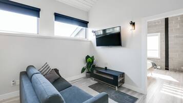 A modern living room with a grey sofa, a flat-screen TV, and a potted plant.
