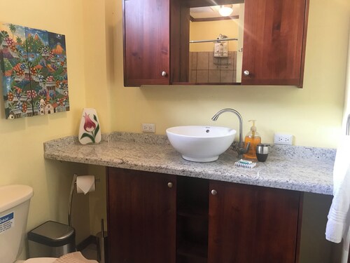 Deluxe Two-Bedroom Penthouse Apartment in Escalante, San Jose Center