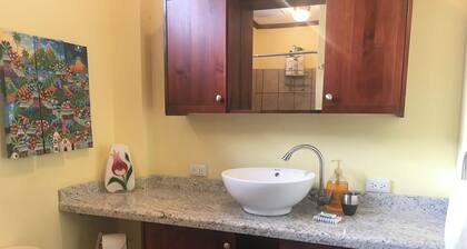 Deluxe Two-Bedroom Penthouse Apartment in Escalante, San Jose Center