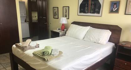 Deluxe Two-Bedroom Penthouse Apartment in Escalante, San Jose Center