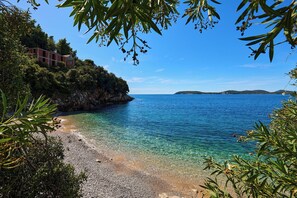 Unclassified image, 2 of 64, button