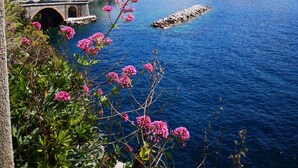 星評価なしの画像、4 / 13、ボタン