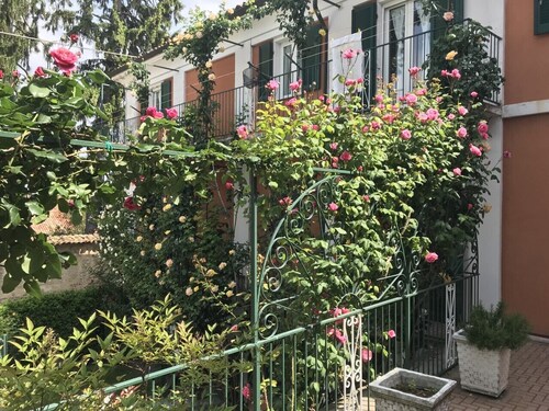 Sänky ja ruusut "Meni"  