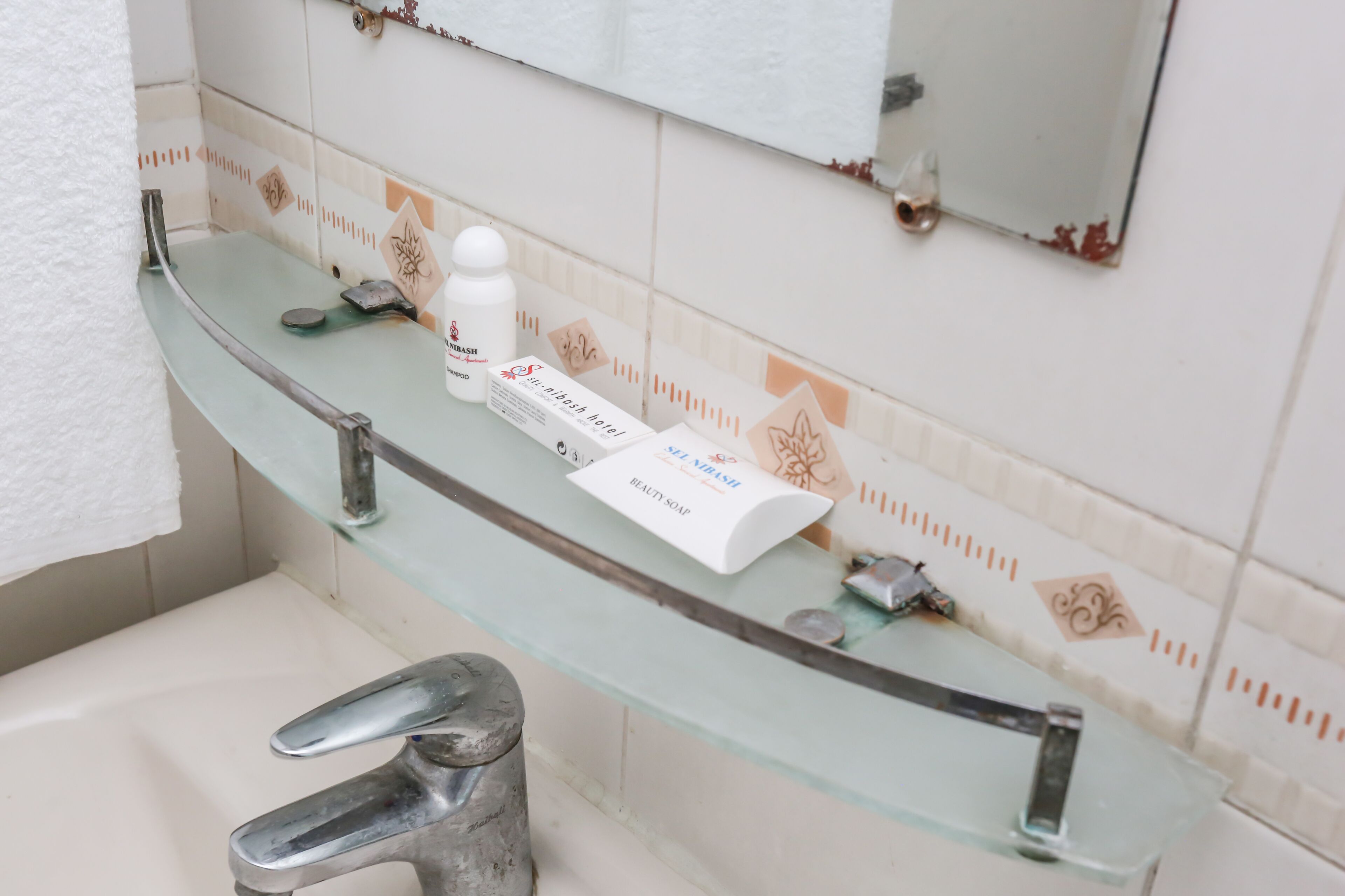 A bathroom with a glass shelf holding a bottle of shampoo, a bar of soap, and a box of body wash.