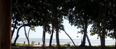 Una piscina al aire libre, sillones reclinables de piscina