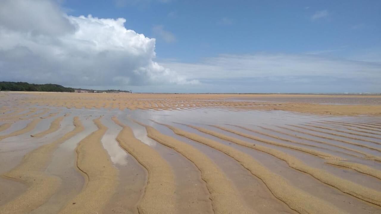 A wide sandy beach with visible tire tracks and a distant tree line under a partly cloudy sky.