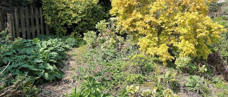 Terrain de l’hébergement