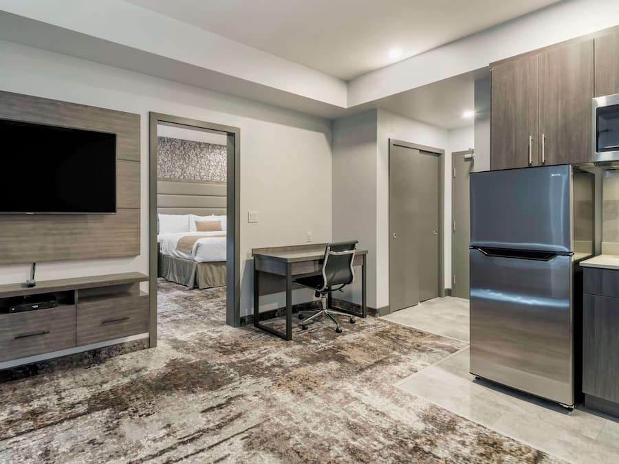 Suite, 1 King Bed with Sofa bed, Non Smoking (Efficiency)