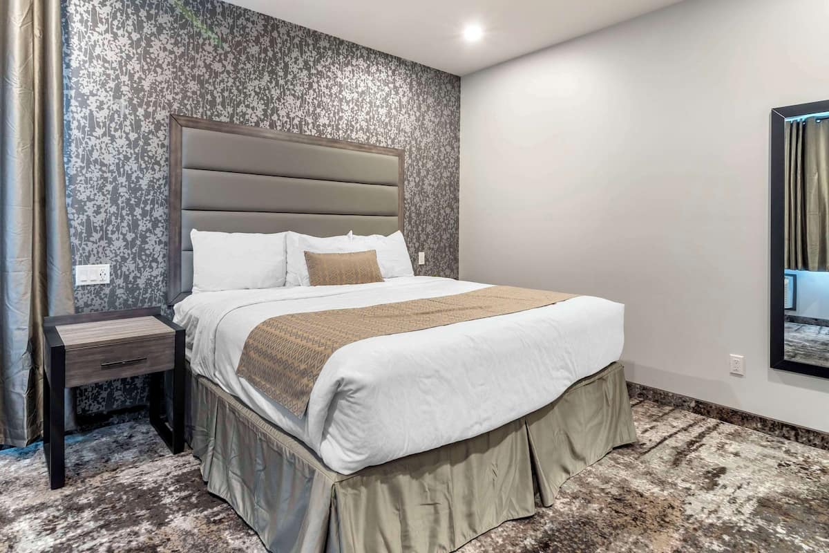 Suite, 1 King Bed with Sofa bed, Non Smoking (Efficiency) | Down comforters, desk, soundproofing, bed sheets