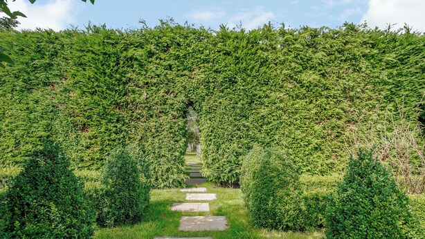Un sentier bordé de haies soigneusement taillées qui mène à un ciel dégagé.