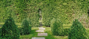 Under Willows - UK12608