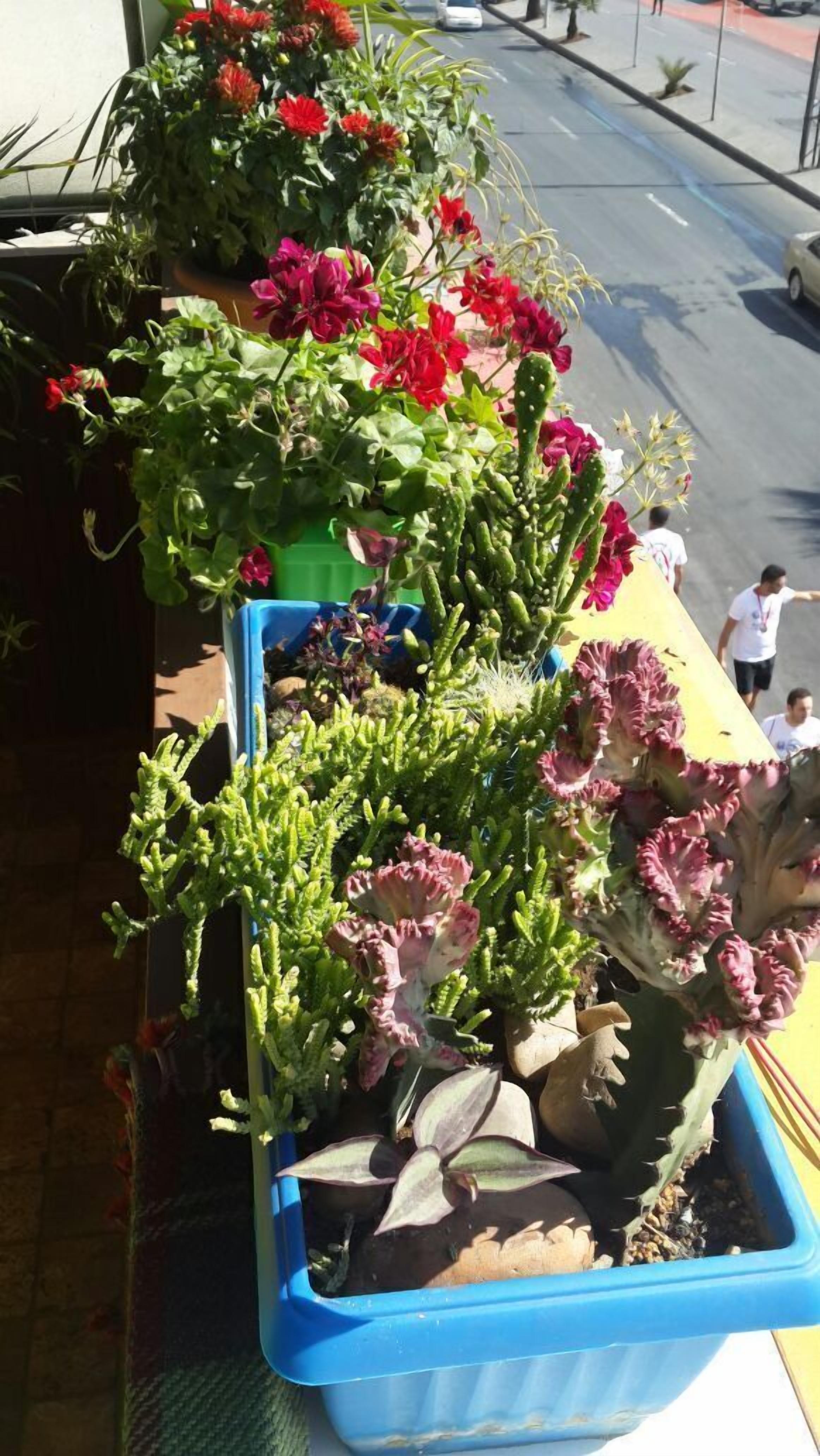 Foto - Roman Theater Hotel