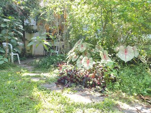 Stroll through this serene garden, surrounded by lush greenery and vibrant flowering plants.