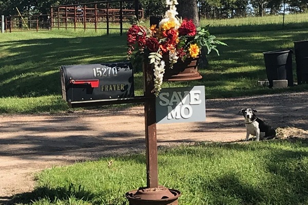 Welcome to SAVE,MO Cottage-
mailbox - Holly says, "Welcome and hello guest!"