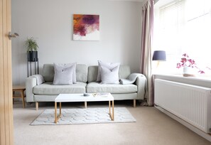 Televisio, DVD-soitin, kirjoja