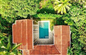 Ein Luftbild eines privaten Pools, umgeben von üppiger Vegetation und Holzzaun.