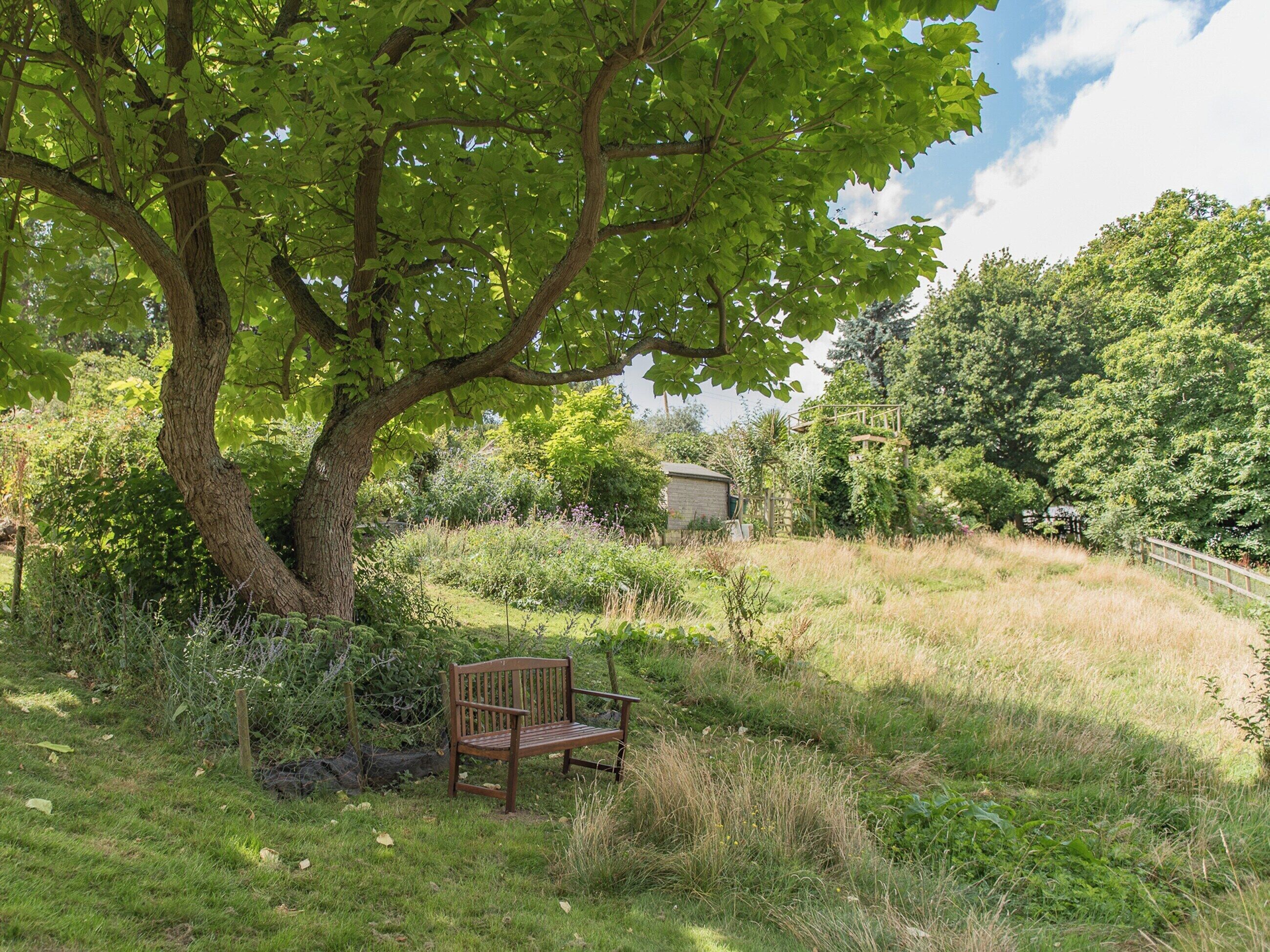 Un banc sous un grand arbre, dans un espace verdoyant, avec un petit bâtiment en arrière-plan.