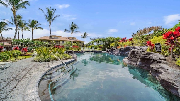 A clear pool with a stone border, surrounded by tropical plants and palm trees.