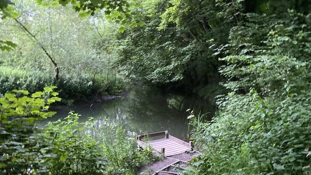 Un puente de madera que conduce a un muelle sobre un río tranquilo rodeado de vegetación densa.