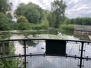 Property grounds - Homely Birch Close House with Free Parking, Garden & Sleeps 8
 (Cambridge)