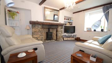 TV, fireplace, DVD player, books