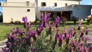Un edificio a due piani con un balcone e un giardino fiorito di fiori viola di fronte.