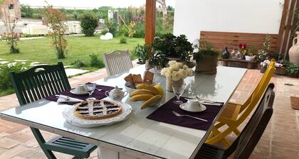 B&B Tenuta della Duchessa