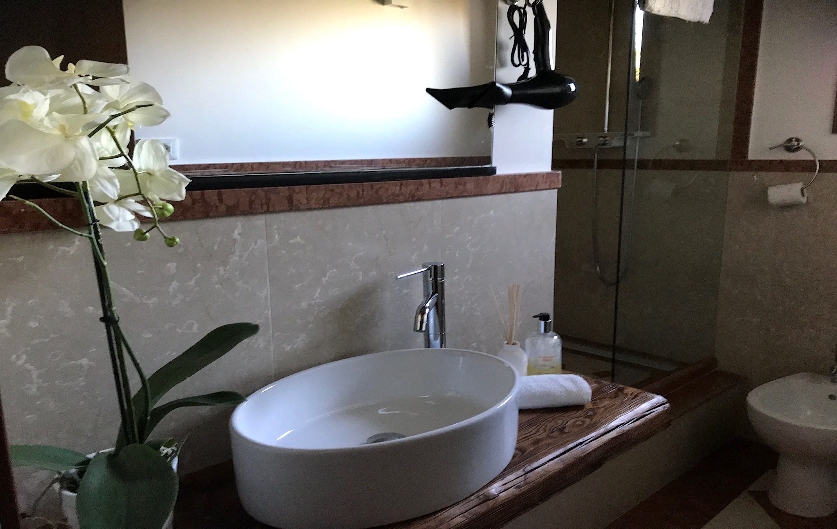 A bathroom with a white sink, a mirror, a shower, and a potted orchid.