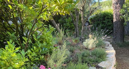 Charming mazet in a calm and soothing environment.