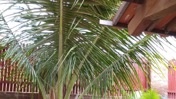 Interior detail - Pousada Casa Strela Jericoacoara (Jijoca de Jericoacoara)
