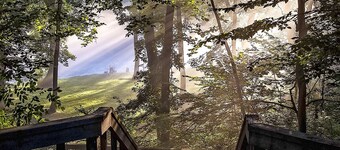 Lil Shangri-La on the Little Red River -walk in river access