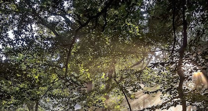 Lil Shangri-La on the Little Red River -walk in river access