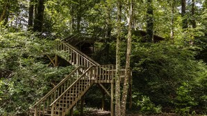 A wooden staircase leading up a forested hill.