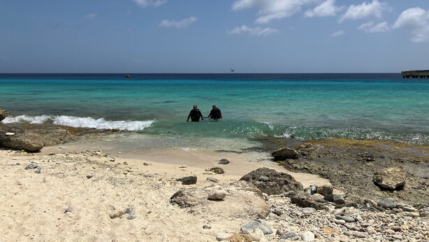A beach with clear turquoise water, rocky shoreline, and a distant pier. - Deluxe Boutique Apartments Sonrisa Bonaire – Adults only (Kralendijk)