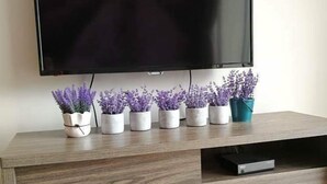 A wooden TV stand with a flat-screen TV mounted above it, and several potted plants arranged on the stand. - VgoCameron Home (Tanah Rata)
