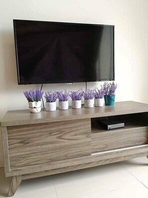 Television - VgoCameron Home (Tanah Rata)