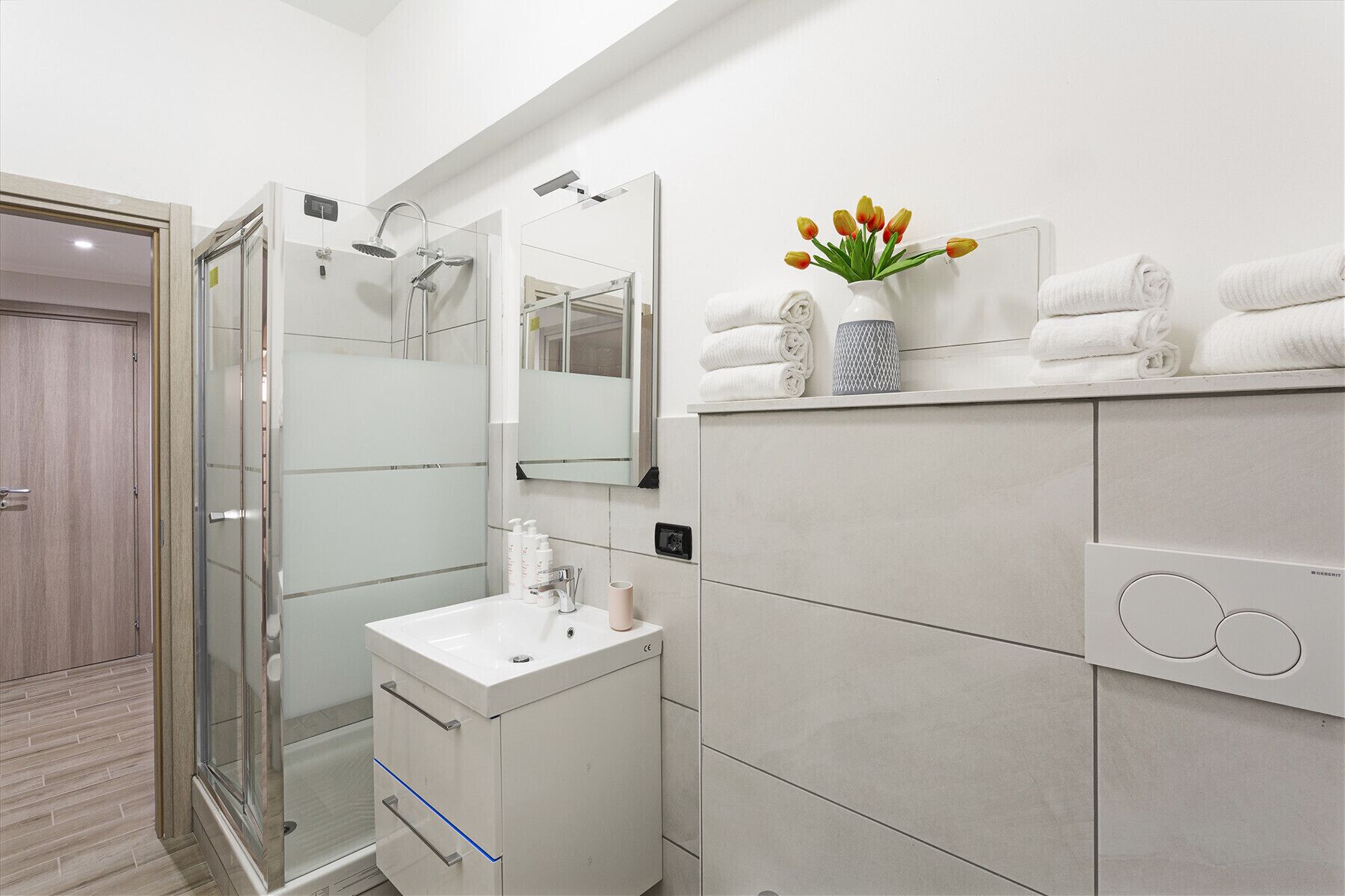 Shower, hair dryer, bidet, towels