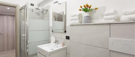 Shower, hair dryer, bidet, towels