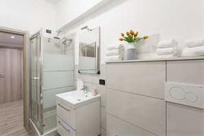 Shower, hair dryer, bidet, towels