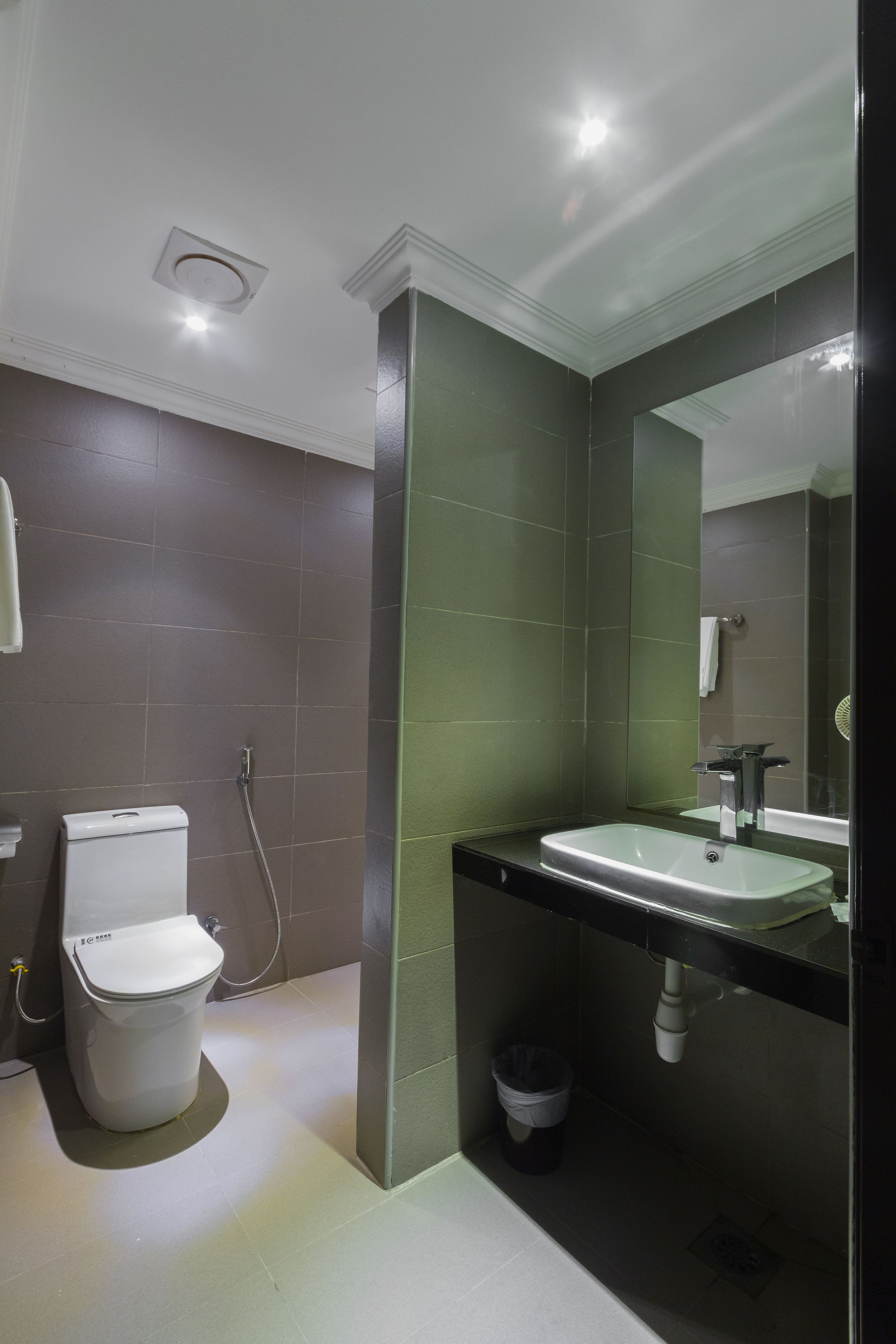 A modern bathroom with a toilet, sink, and mirror.