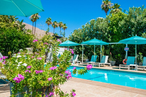 A pool area with lounge chairs and umbrellas, surrounded by greenery and palm trees.